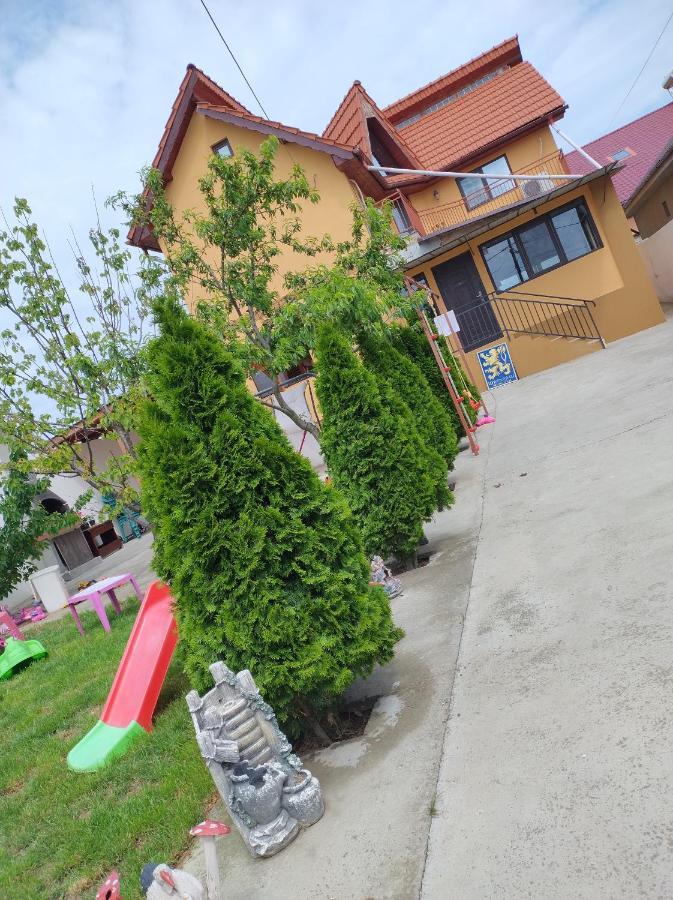 Dalila Villa Corbu  Kültér fotó